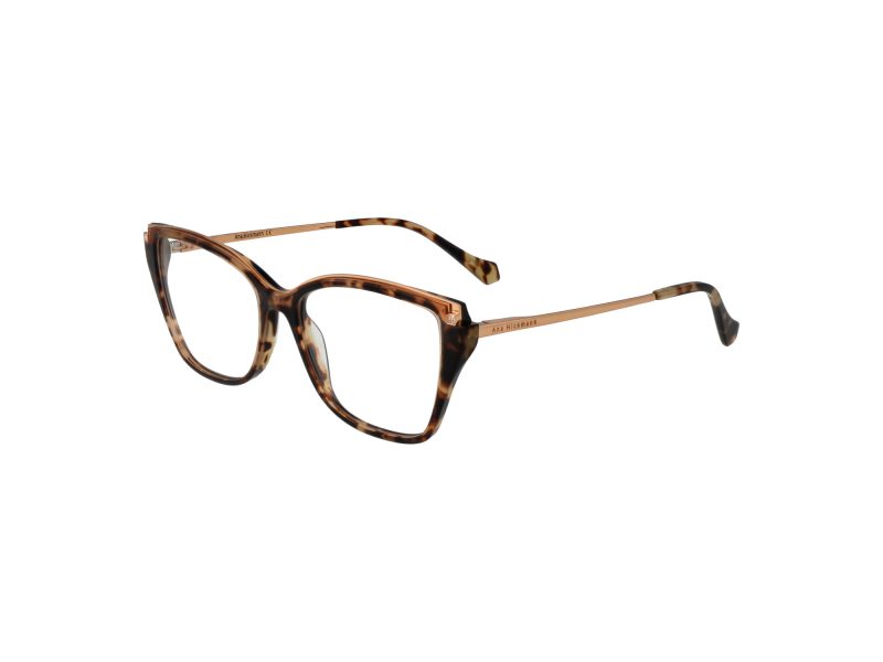 Ana Hickmann Brillen AH 6476 G21
