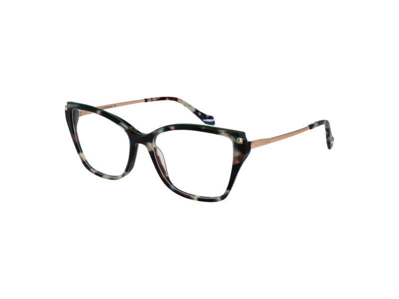 Ana Hickmann Brillen AH 6476 G22