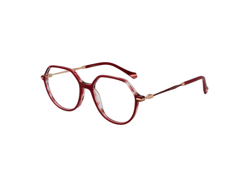 Ana Hickmann Brillen AH 6480 H02