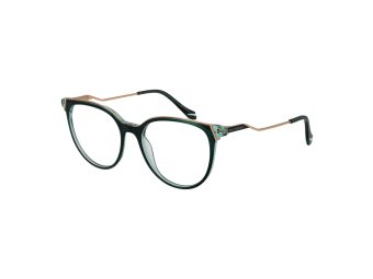 Ana Hickmann Brillen AH 6483 H02