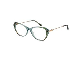 Ana Hickmann Brillen AH 6495T C01