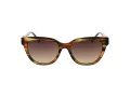 Ana Hickmann Sonnenbrille AH 9356 E02