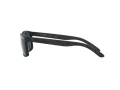 Arnette Slickster Sonnenbrille AN 4185 218887