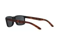 Arnette Slickster Sonnenbrille AN 4185 227381