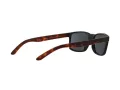Arnette Slickster Sonnenbrille AN 4185 227381