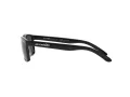 Arnette Slickster Sonnenbrille AN 4185 41/81