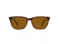 Arnette Cortex Sonnenbrille AN 4291 277083