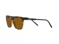 Arnette Cortex Sonnenbrille AN 4291 277083