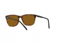 Arnette Cortex Sonnenbrille AN 4291 277083