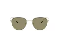Giorgio Armani Sonnenbrille AR 6048 30132A