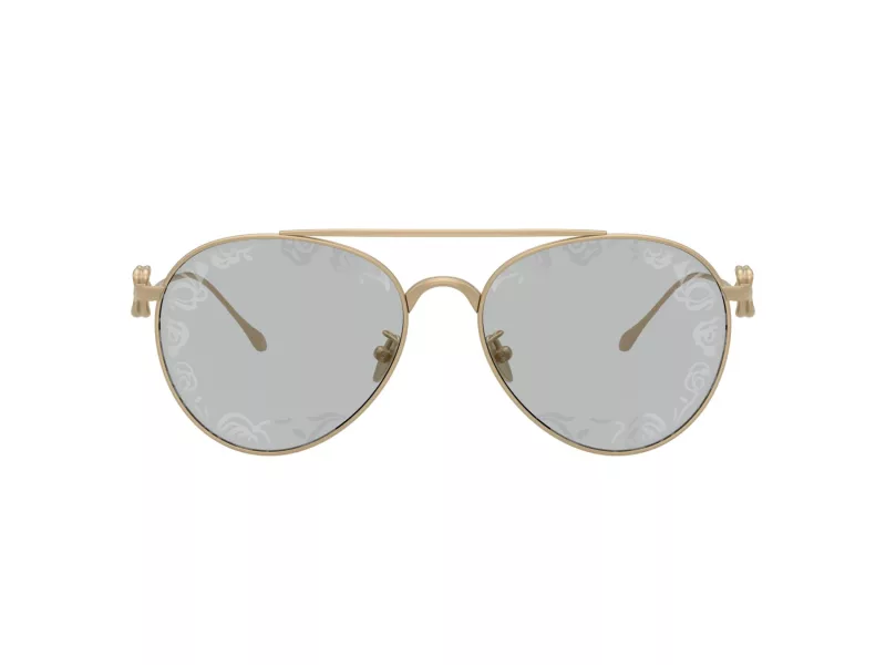 Giorgio Armani Sonnenbrille AR 6167 3002AL