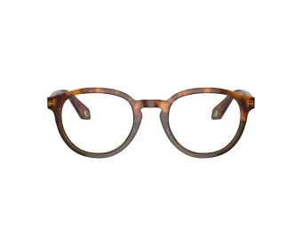 Giorgio Armani Brillen AR 7248 5988