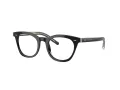 Giorgio Armani Brillen AR 7251 5875