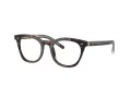 Giorgio Armani Brillen AR 7251 5879