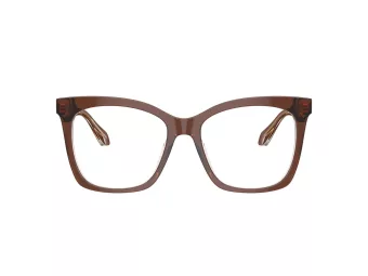 Giorgio Armani Brillen AR 7254U 6090