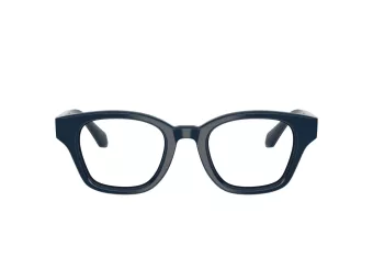 Giorgio Armani Brillen AR 7274 6223