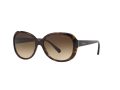 Giorgio Armani Sonnenbrille AR 8047 502613