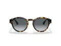 Giorgio Armani Sonnenbrille AR 8146 587486