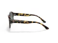 Giorgio Armani Sonnenbrille AR 8146 587486