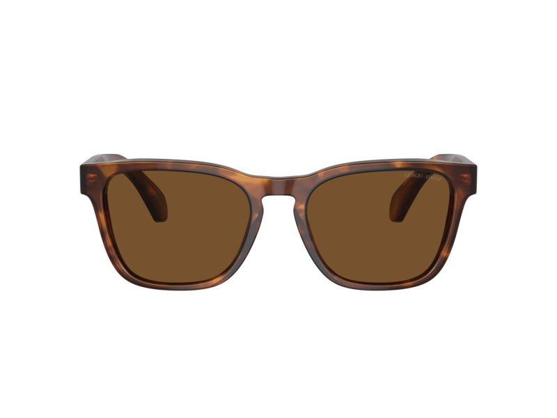 Giorgio Armani Sonnenbrille AR 8155 598857
