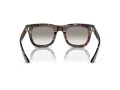 Giorgio Armani Sonnenbrille AR 8171 587932