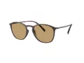 Giorgio Armani Sonnenbrille AR 8186U 508973
