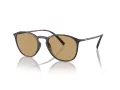 Giorgio Armani Sonnenbrille AR 8186U 508973