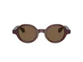 Giorgio Armani Sonnenbrille AR 8205 606273