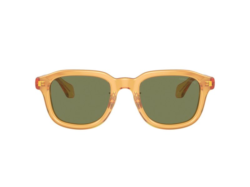 Giorgio Armani Sonnenbrille AR 8206 60632A