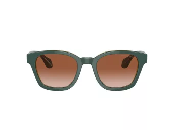 Giorgio Armani Sonnenbrille AR 8207 608613