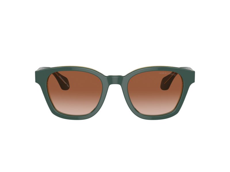 Giorgio Armani Sonnenbrille AR 8207 608613