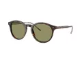 Giorgio Armani Sonnenbrille AR 8211 587914