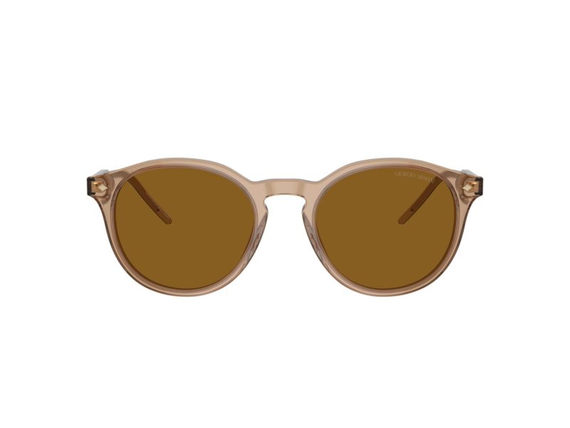Giorgio Armani Sonnenbrille AR 8211 607233
