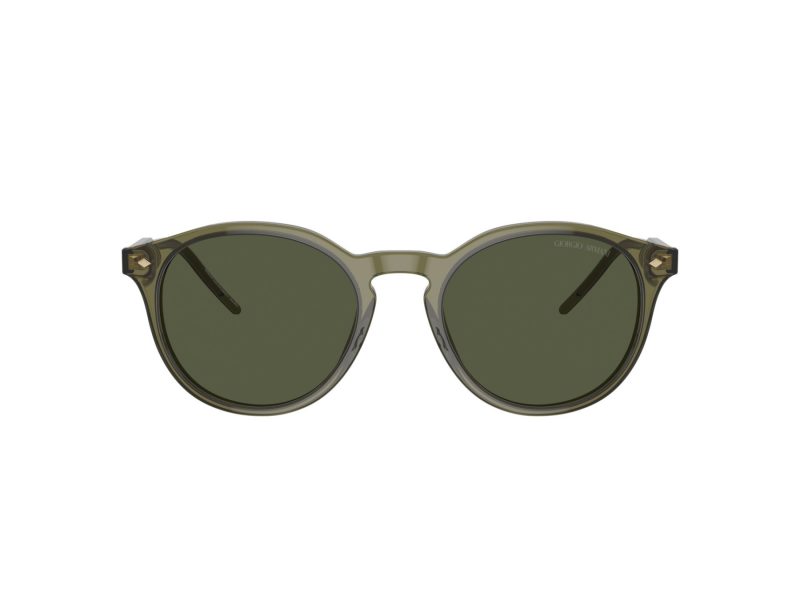 Giorgio Armani Sonnenbrille AR 8211 607452