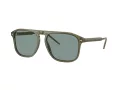 Giorgio Armani Sonnenbrille AR 8212 607456