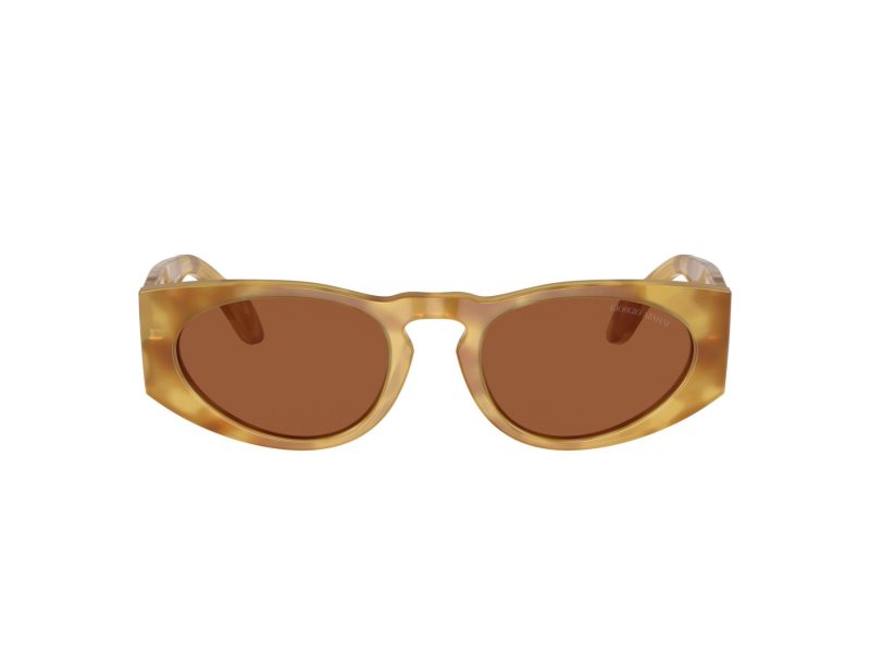 Giorgio Armani Sonnenbrille AR 8216 597973