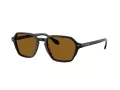 Giorgio Armani Sonnenbrille AR 8220 587553