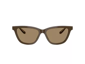 Giorgio Armani Sonnenbrille AR 8221 595753