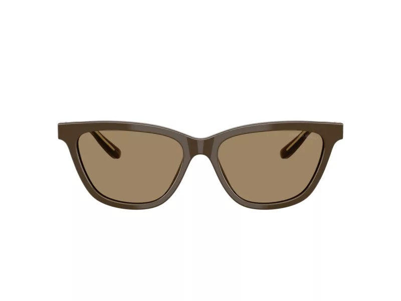 Giorgio Armani Sonnenbrille AR 8221 595753