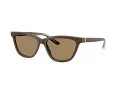 Giorgio Armani Sonnenbrille AR 8221 595753