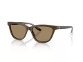 Giorgio Armani Sonnenbrille AR 8221 595753