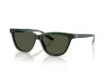 Giorgio Armani Sonnenbrille AR 8221 617331