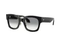 Giorgio Armani Sonnenbrille AR 8223 500111
