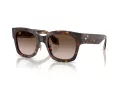 Giorgio Armani Sonnenbrille AR 8223 502613