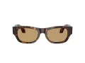 Giorgio Armani Sonnenbrille AR 8224 502673