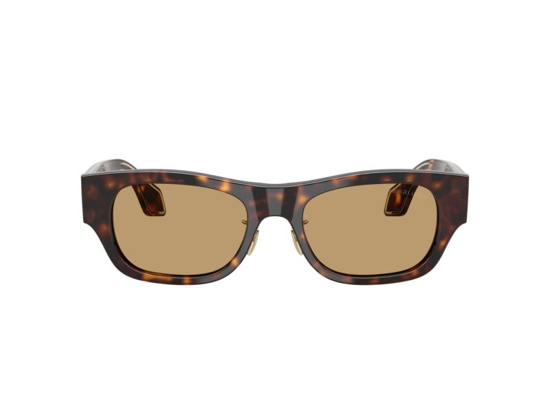 Giorgio Armani Sonnenbrille AR 8224 502673