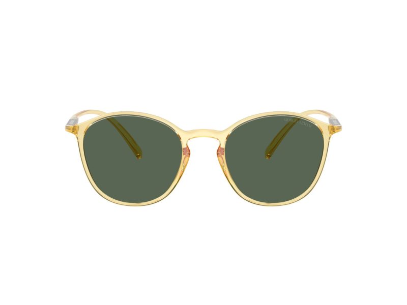 Giorgio Armani Sonnenbrille AR 8233U 623871