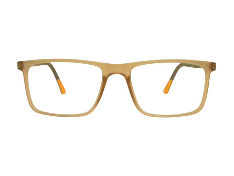 Berkeley Brillen BB H6520 C2