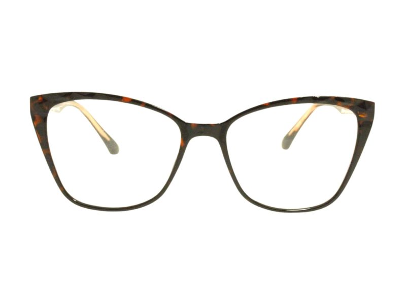 Berkeley Brillen BB TR76003 C2