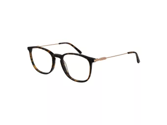 Bulget Brillen BG 6432M G21